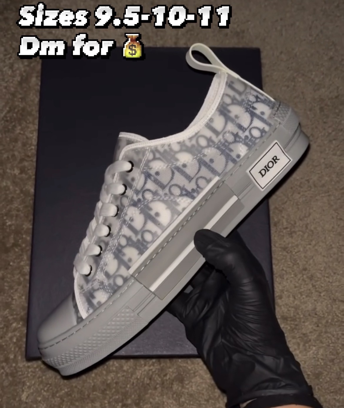 Dior B23 Grey